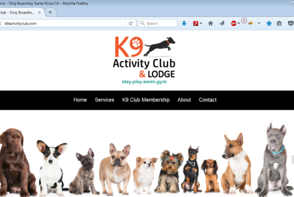 K9 Activiy Club & Lodge