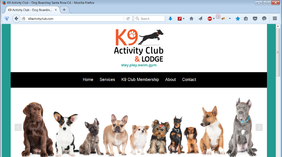 K9 Activiy Club & Lodge